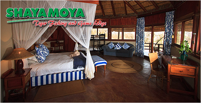 Shayamoya